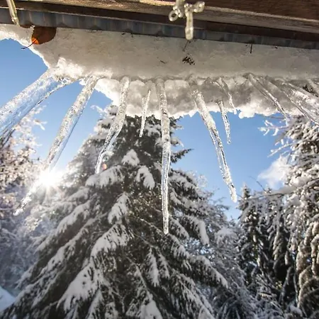 Chalet Chalet F'net