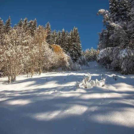 F'net Chalet Saint-Gervais-les-Bains