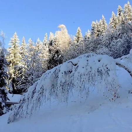 Chalet F'net Saint-Gervais-les-Bains