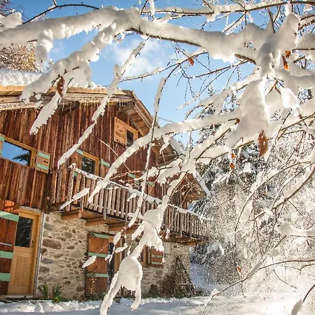 Chalet F'net *